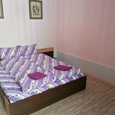 Guest House Zora Bełogradczik Zewnętrze zdjęcie