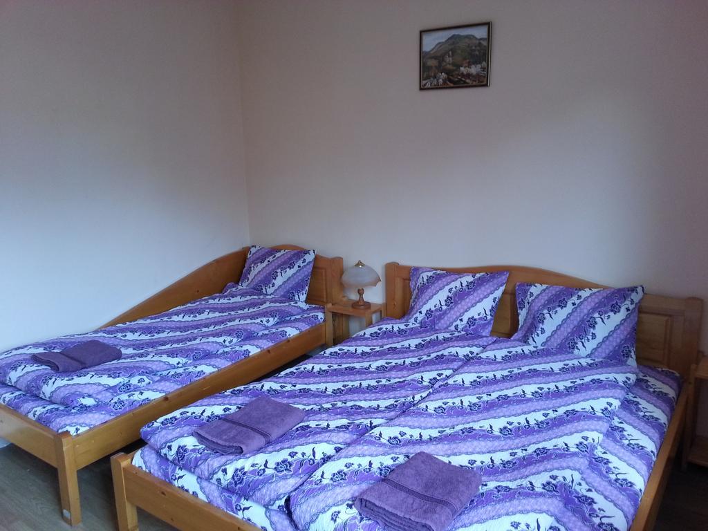 Guest House Zora Bełogradczik Zewnętrze zdjęcie